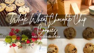 The Best Whole Wheat Chocolate Chip Cookie Recipe with fresh Milled Flour