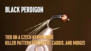 Fly Tying the Black Perdigon Czech Style Nymph: Killer Pattern for Baetis, Caddis, and Midges!