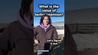 What is the value of retained breeding heifers? | Redline Cow Math Education Series 