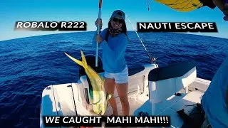 Robalo R222 , FISHING