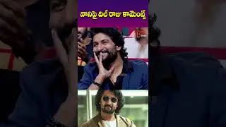 నానిపై దిల్ రాజు కామెంట్స్..#dilraju #naturalstarnani #saripodhaasanivaaram #telugufilms