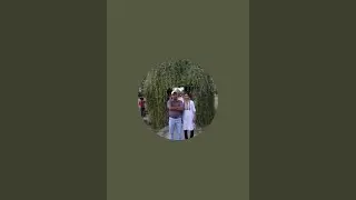 Kiran ka bagicha is live