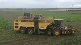 Ropa Tiger 5 Sugar Beet Harvester
