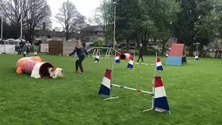 Wedstrijd HCOW - Agility Eindhoven