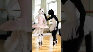 mother's dance competition😱😭#catsoftiktok #cute #cat #aiart #ai #poorcat#catlover#fyp#shorts