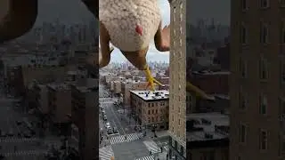Курица напала на здания&hellip; А потом превратилась в жареную курицу 😳🍗