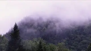 Parc de la Jacques Cartier-Timelapse 4k