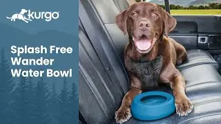 The Splash-Free Wander Water Bowl | No-spill travel bowl for dogs