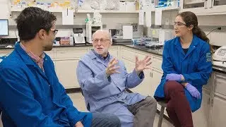 Mentorship Matters: Undergraduate Research at UCLA