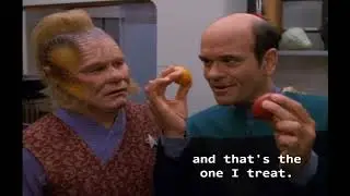 Star Trek: Voyager - The Doctor's Meltdown