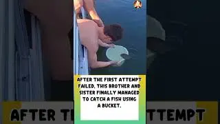 Bucket Fishing Success