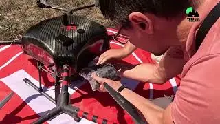 The New Frontline: TREEADS-Powered Robotic Applications
