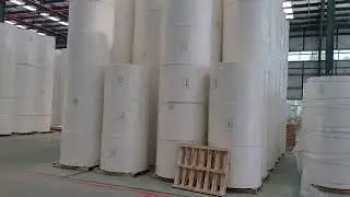 Cotton Linters pulp