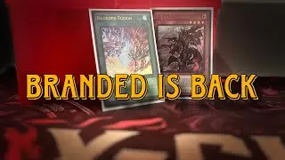 Pure Branded Deck Profile(UPDATED)