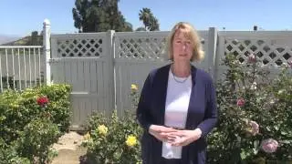 Patt Sendejas - Introduction to Feng Shui