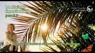 La maison émotionnelle épisode 2– Pourquoi les émotions débordent autant à la maison
