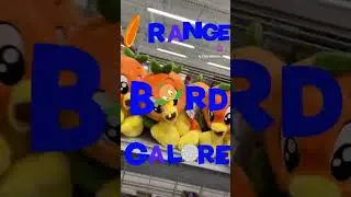 ORANGE BIRD GALORE #orangebird #disney #burlington #burlingtondesignerfinds #disneyfinds #trending