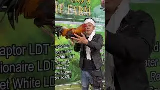 farm visit balayan batangas Rdc-and Son Farm