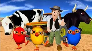 El Pollito Pío 3d - El Toro y Tractor - Canciones de la Granja de Zenón #729