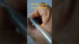 how to draw plasma membrane easily #youtubeshorts #viral #ncert #fluid mosaic model