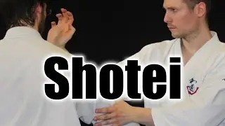 Ways to use Shotei, the palmheel strike