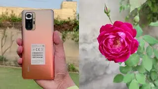Xiaomi Redmi Note 10 Pro / Pro Max - Complete Camera Test! (108 Megapixels is Good)?!