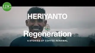 Regeneration - Heriyanto's Journey to Sustainable Coffee Farming in Indonesia