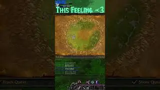 The Best Feeling in WoW Leveling ✔️🔥 #worldofwarcraft #wotlk #wowshorts #hunter #quests