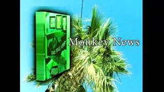 Palm Tree Woman is out right now