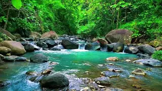 River Sounds for Deep Sleep and Complete Mental Relaxation