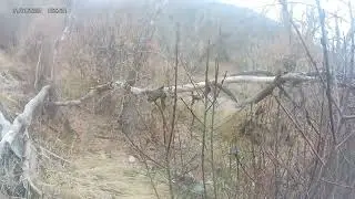 Provo Field
