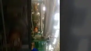 termal power plant