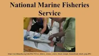 National Marine Fisheries Service
