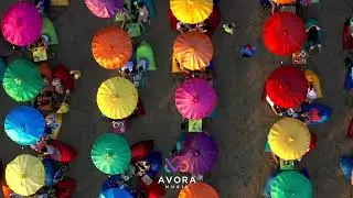 AVORA - Top Retro Music Deep House Exotic 🌴 Vokal Feelings Popular Hits 2025