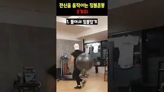 3 Exercises for Your Whole Body with a Gym Ball #gymballexercise #fullbodyexercise #coreexercise ...