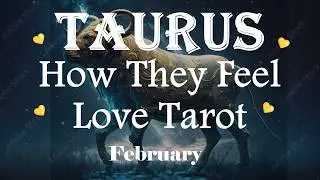 TAURUS - They Are Interested in You & Will Make A Move Next Time! Time To Break The Ice Between You🔥