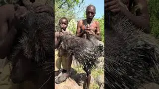 ⁠A wild catch, cleaned and ready &mdash; porcupine in its raw form.