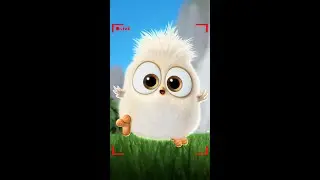 Ultimate Angry Birds Vibes! 🤩❤️&zwj;🔥