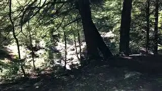 Walk into choke creek falls