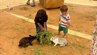 Playful Encounters with Farm Animals at Jeeva Park | Devanahalli's Hidden Gem