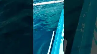 Sunday fishing trip with Dennis.(2)