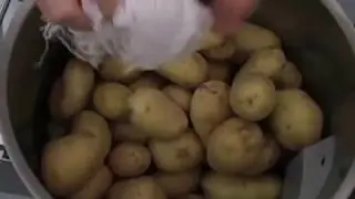 Eplucheuse à pommes de terre professionnelle - Chr-Restauration.com