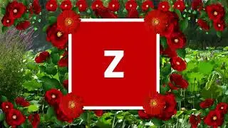 Letter Z Love Status #Z #LetterZ #StatusVideo
