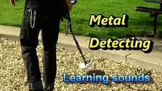 Metal Detector Sounds