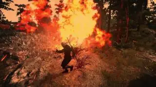 The witcher 3 Radeon HD7790