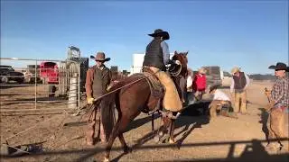 Kimanche Tari (New Video)- Josh Lilley Performance Horses