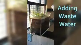 Constructed wetland