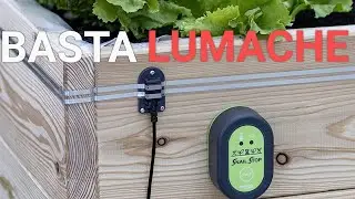 Le lumache si mangiano tutto? SNAILSTOP, recinto elettrico!