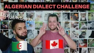 The Algerian Dialect Challenge w/Chase Ross