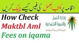 How To Check Ministry of Labor Maktab Amal Fees In Saudi Arabia